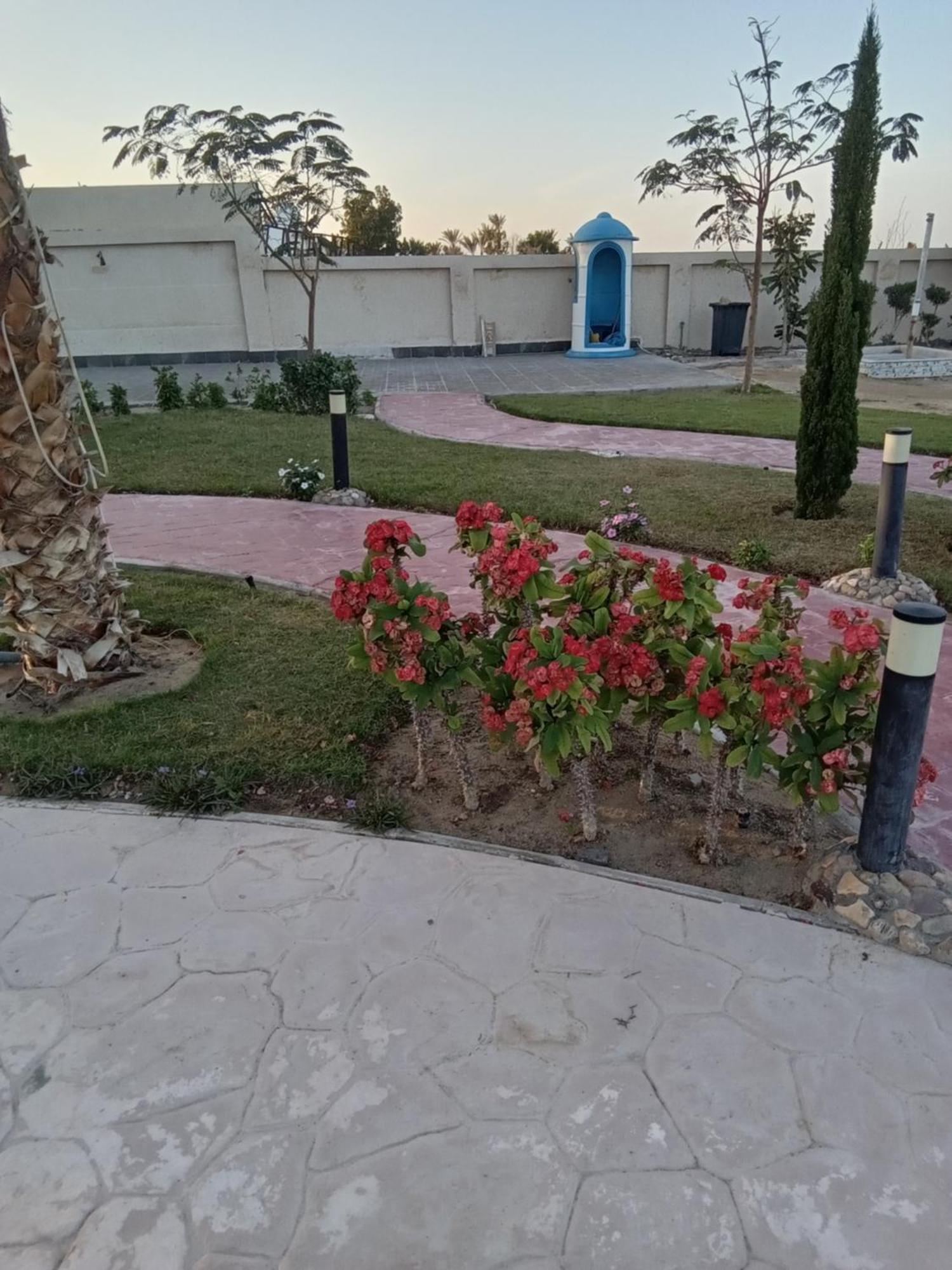Апарт отель Casablanca Beach For Families And Couples Only Хургада Экстерьер фото